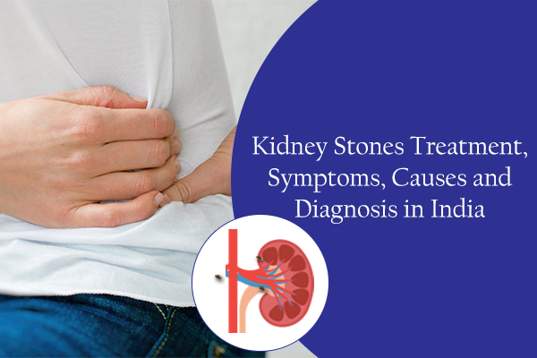 Kidney Stones Treatment Symptoms Causes and Diagnosis in India