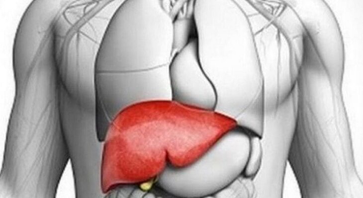 world-liver-day-Your Liver Can Make You Live Longer