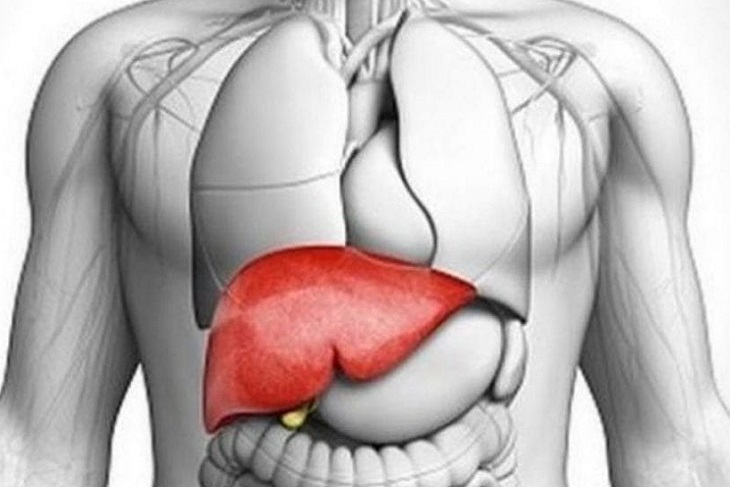 world-liver-day-Your Liver Can Make You Live Longer