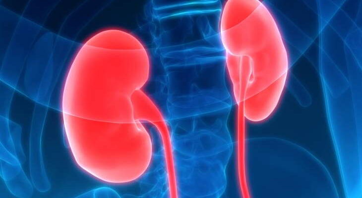 Chronic Kidney Disease - Symptoms, causes, and treatment of CKD