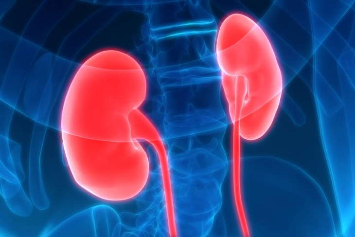 Chronic Kidney Disease - Symptoms, causes, and treatment of CKD