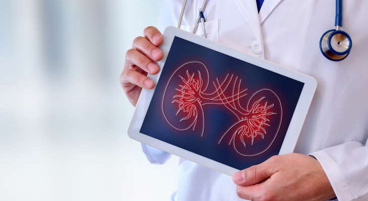 Doctor close-up of a doctor showing a picture of a kidney on a tablet in a hospital