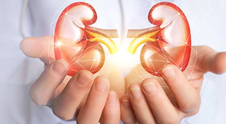 Everything you need to know about Kidney Transplant