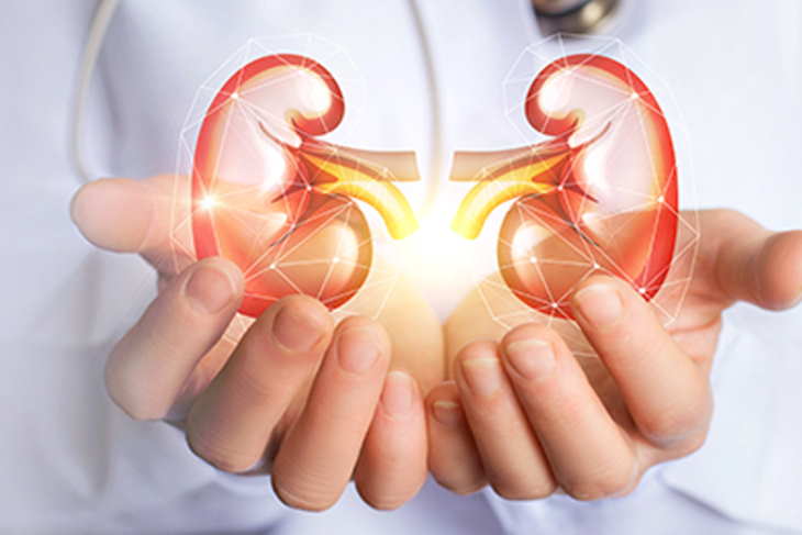 Everything you need to know about Kidney Transplant