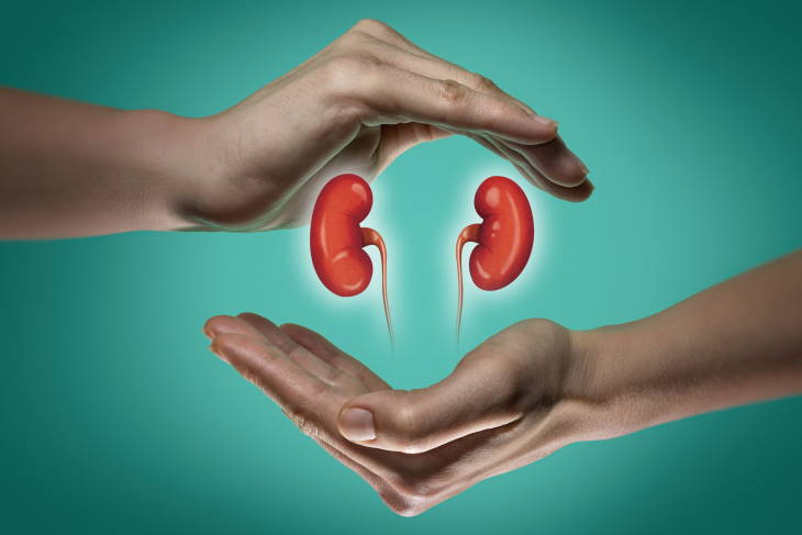 Kidney-Transplant-FAQS